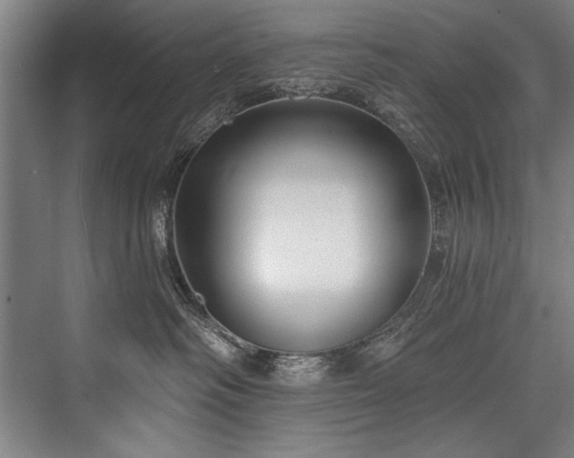 X0000076400334200610061223