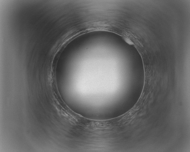 X0000076400338200610061222
