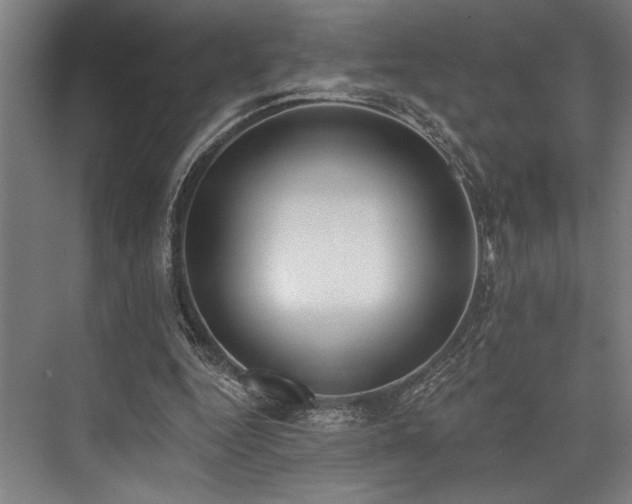 X0000076400344200610061222