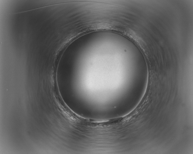 X0000076400345200610061222