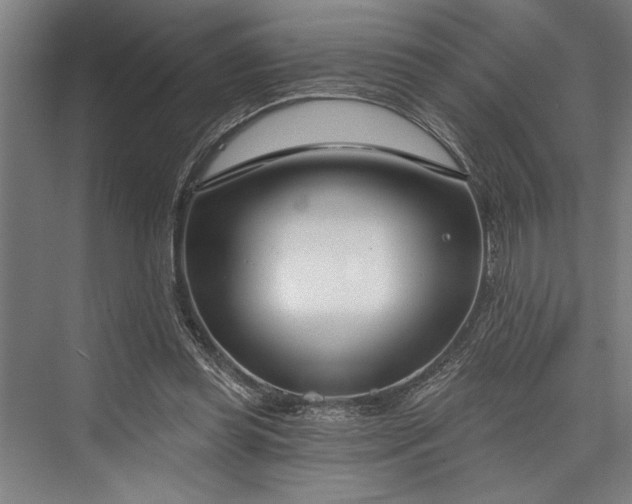 X0000076400349200610061223