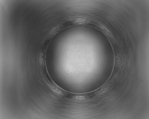 X0000076400361200610061223