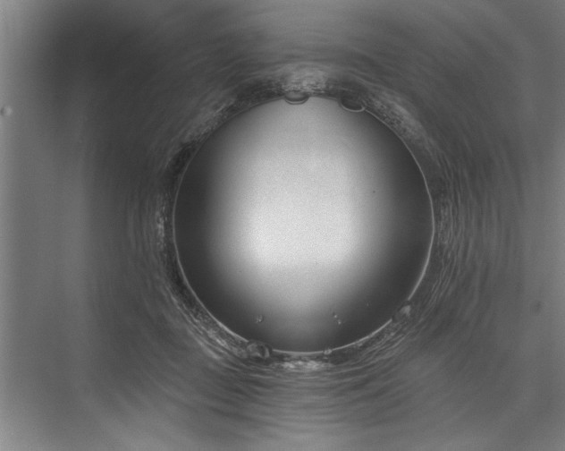 X0000076400363200610061223