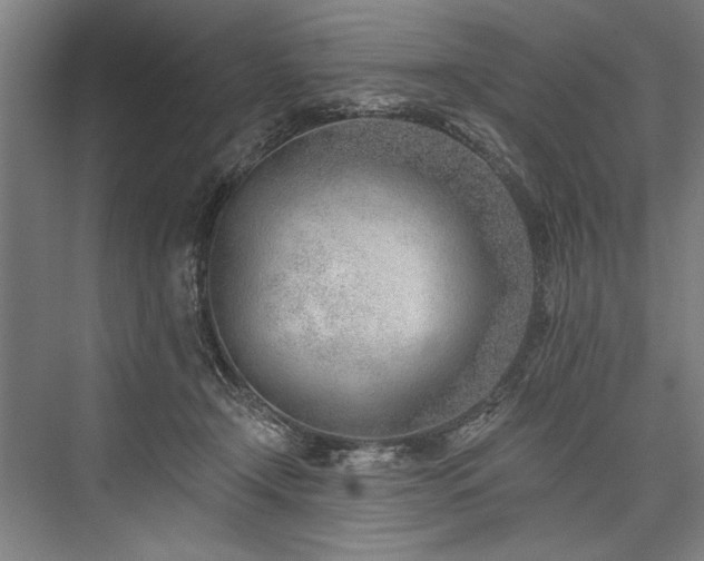 X0000076400366200610061223