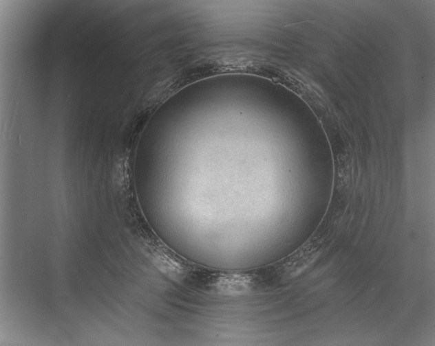 X0000076400369200610061223
