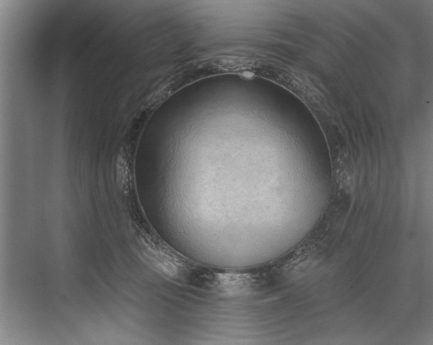 X0000076400371200610061223