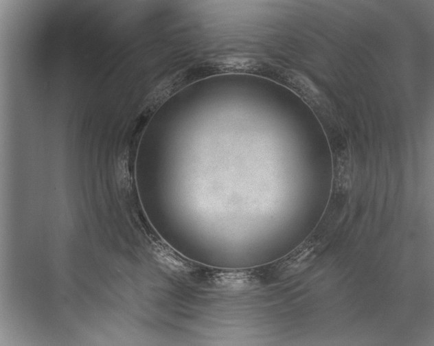 X0000076400377200610061223