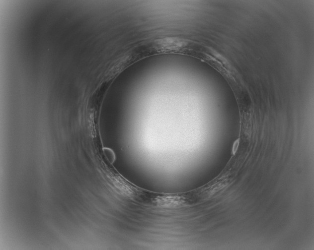 X0000076400378200610061223