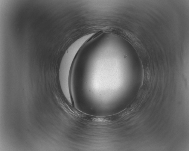 X0000076400380200610061223
