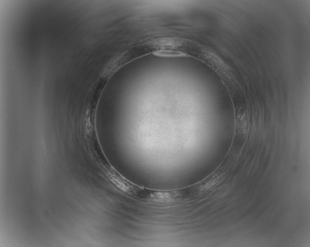 X0000076400381200610061223