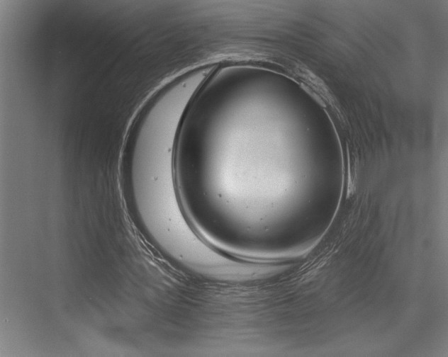 X0000076400387200610061222