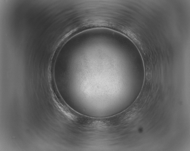 X0000076400390200610061222