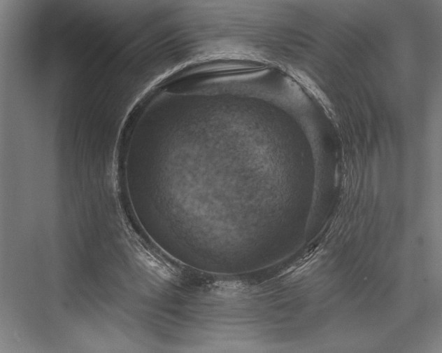 X0000076400391200610061222