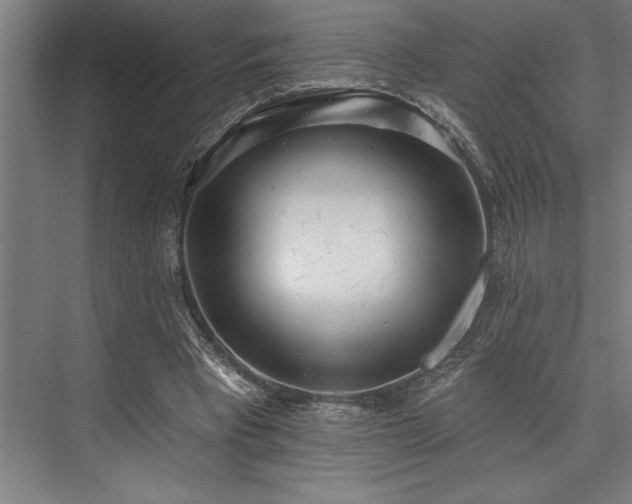 X0000076400393200610061222
