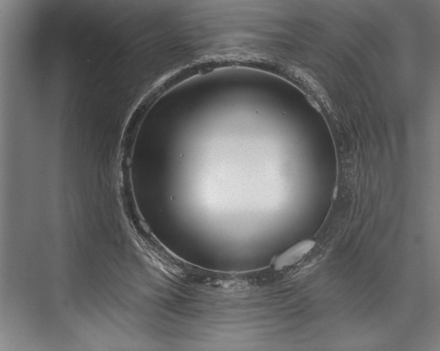 X0000076400395200610061222