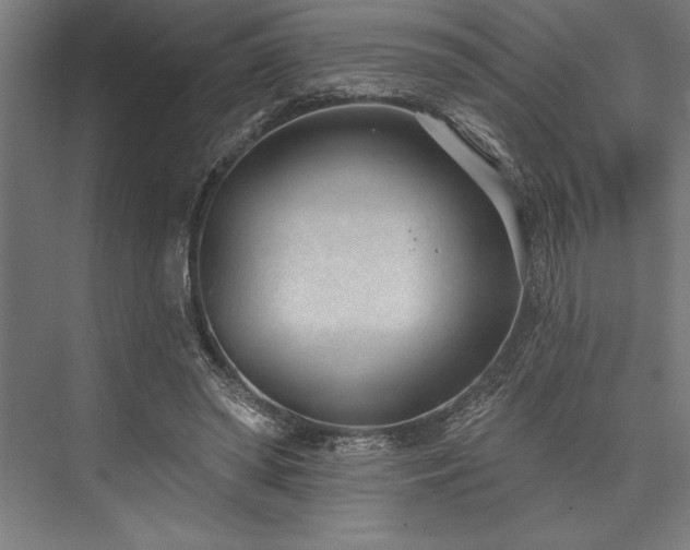 X0000076400398200610061222