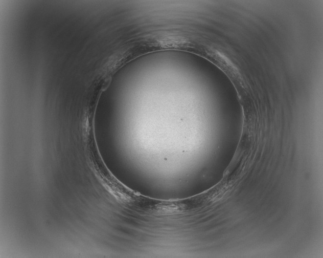 X0000076400405200610061222