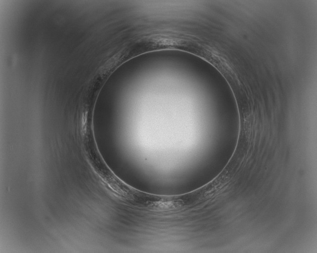 X0000076400406200610061222