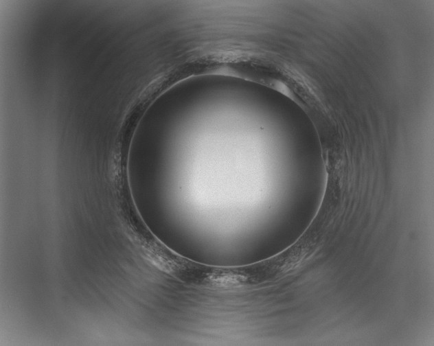 X0000076400407200610061222