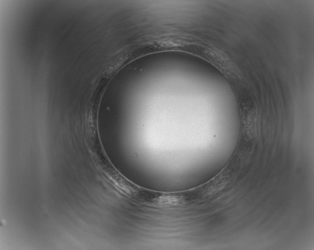 X0000076400418200610061222
