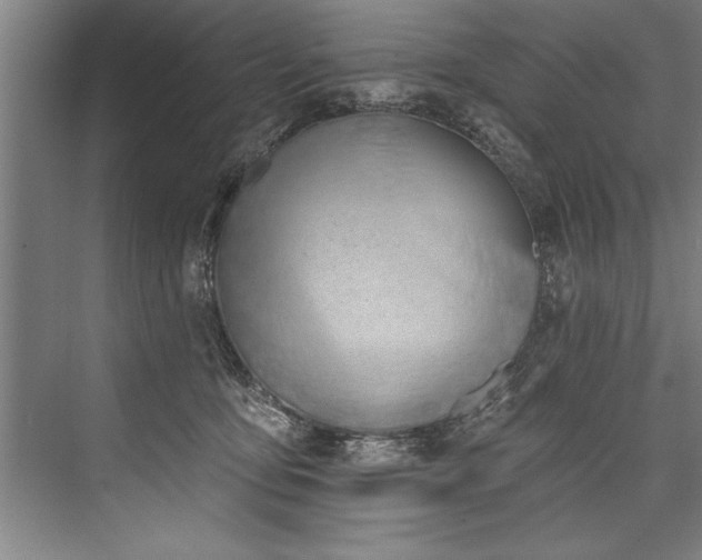 X0000076400419200610061222