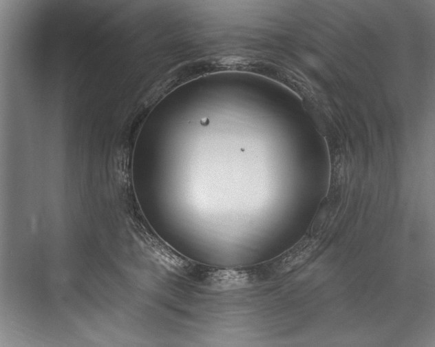 X0000076400421200610061222