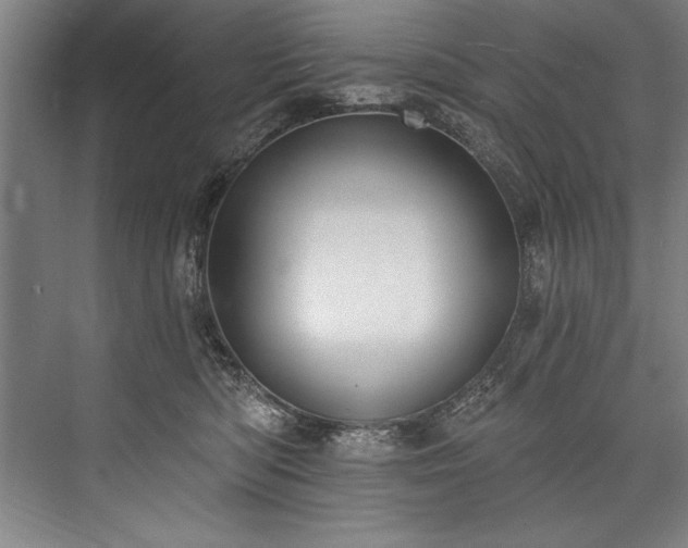 X0000076400422200610061222