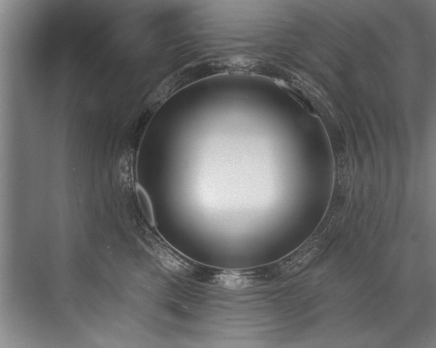 X0000076400425200610061222