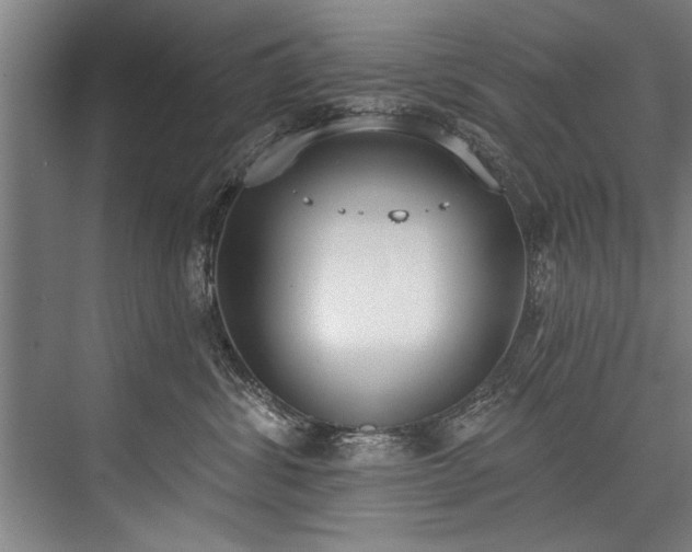 X0000076400428200610061222