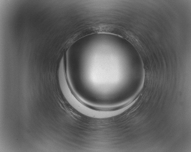 X0000076400429200610061222