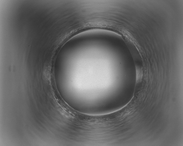 X0000076400434200610061221