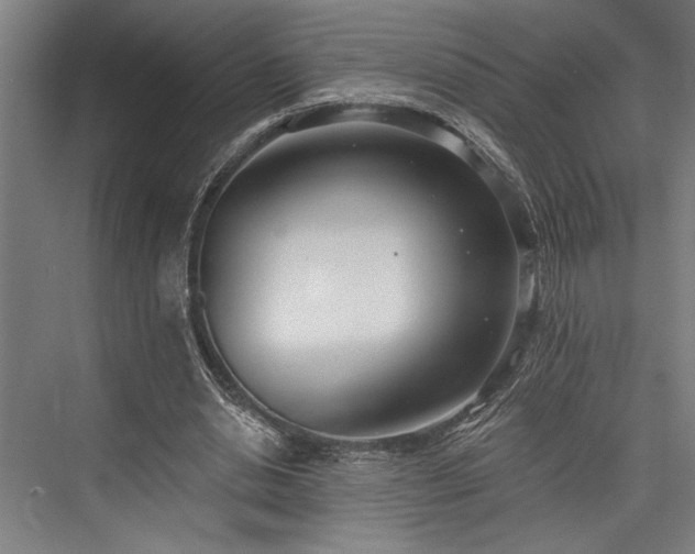 X0000076400438200610061221