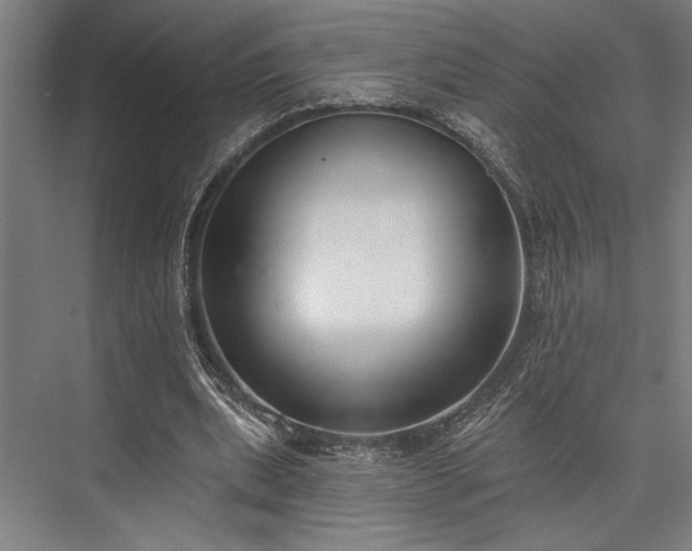 X0000076400439200610061221