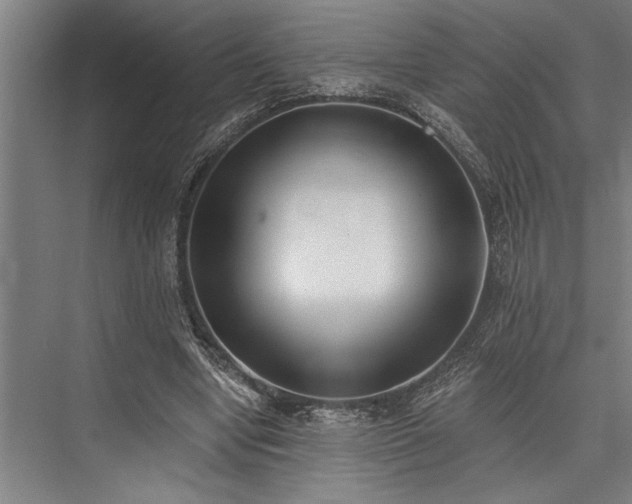 X0000076400442200610061221