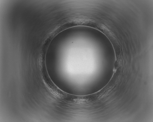 X0000076400448200610061221