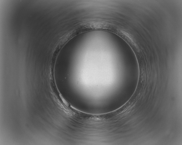 X0000076400453200610061221