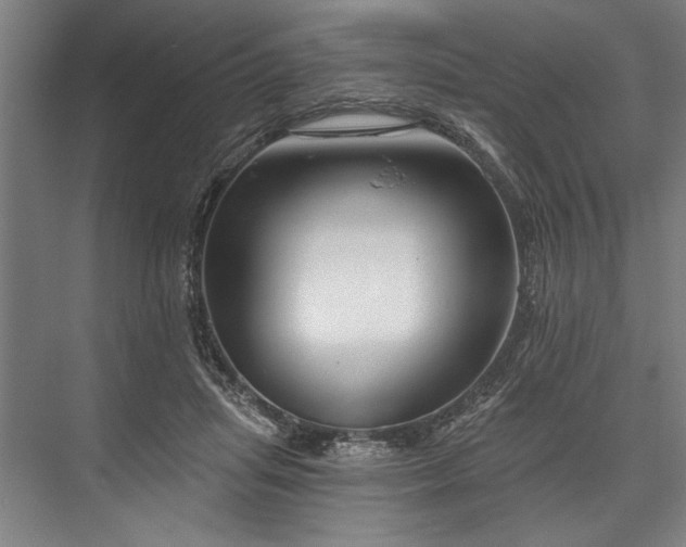X0000076400455200610061221