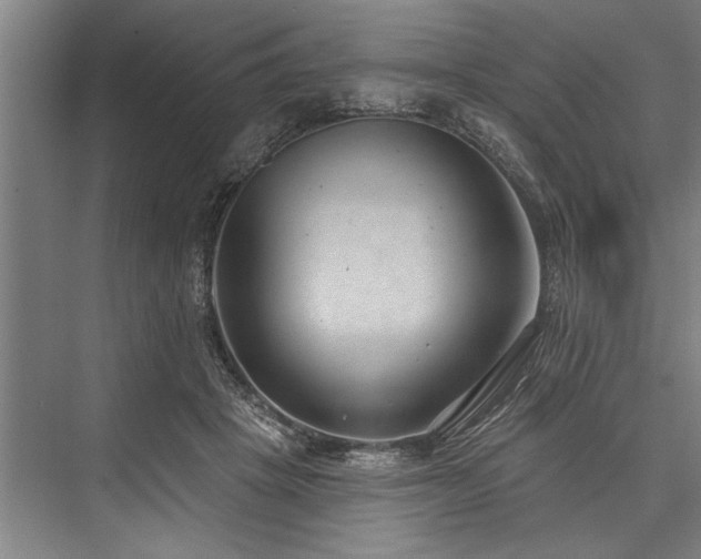X0000076400457200610061221