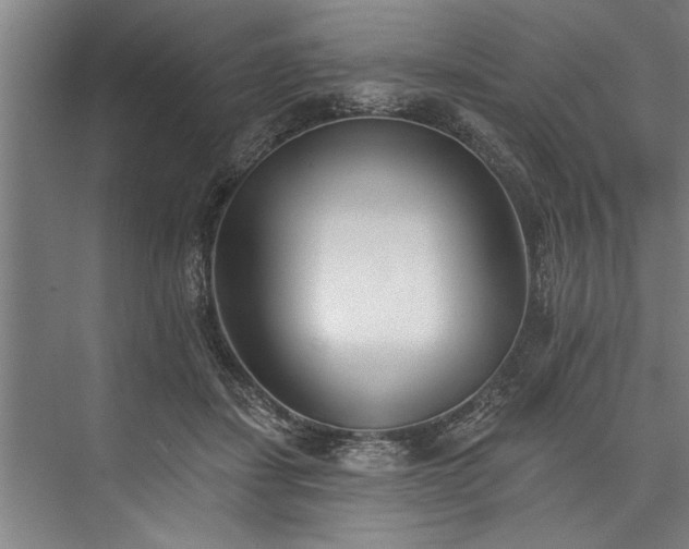 X0000076400459200610061221