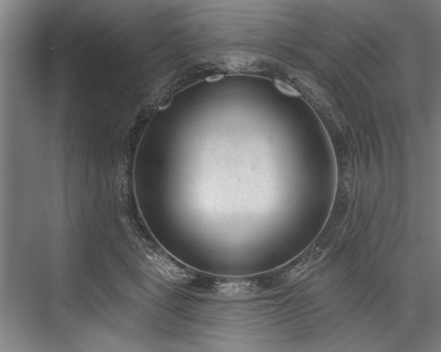 X0000076400461200610061221