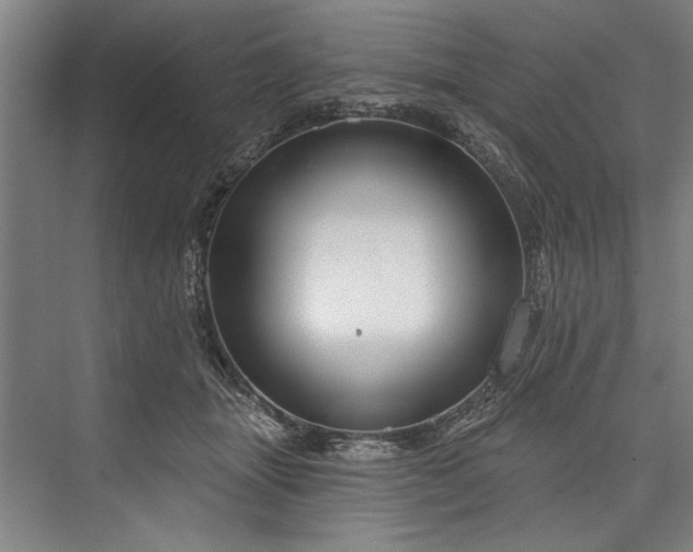 X0000076400463200610061221
