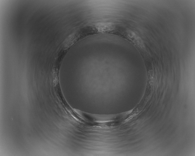 X0000076400471200610061221