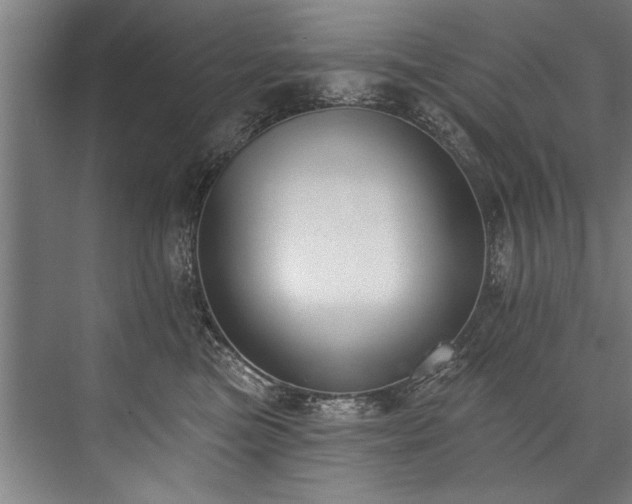 X0000076400473200610061221