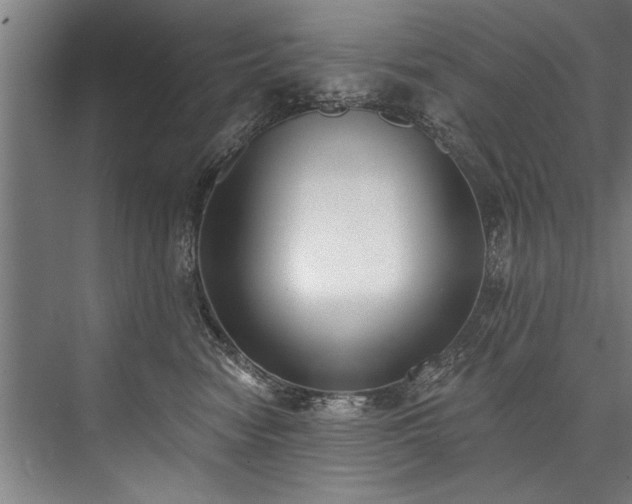 X0000076400474200610061221