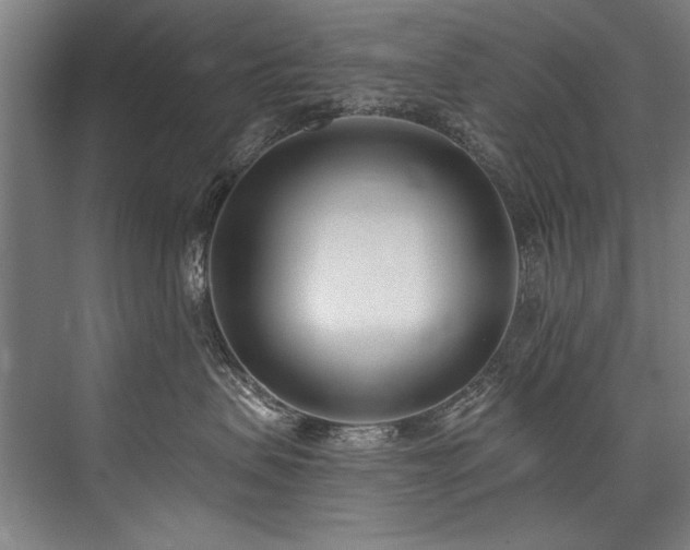 X0000076400479200610061221