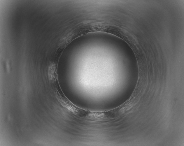 X0000076400480200610061221
