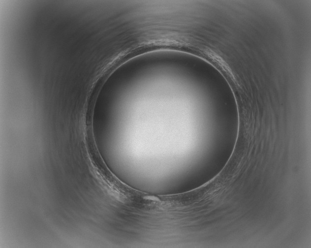 X0000076400482200610061221