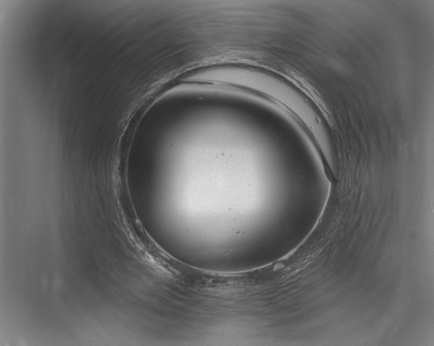 X0000076400485200610061221