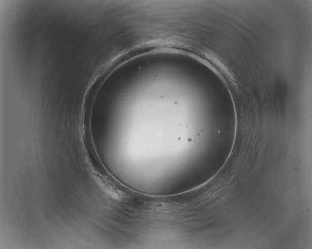 X0000076400486200610061221