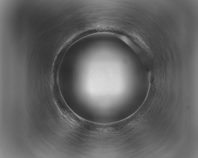 X0000076400488200610061221
